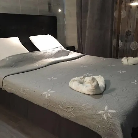 Hotel Gofen *