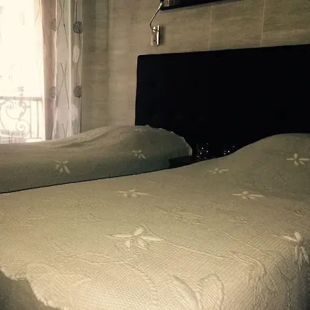 Hotel Gofen *